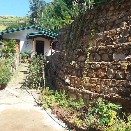 Artist Cottage هابيوتيل المظهر الخارجي الصورة