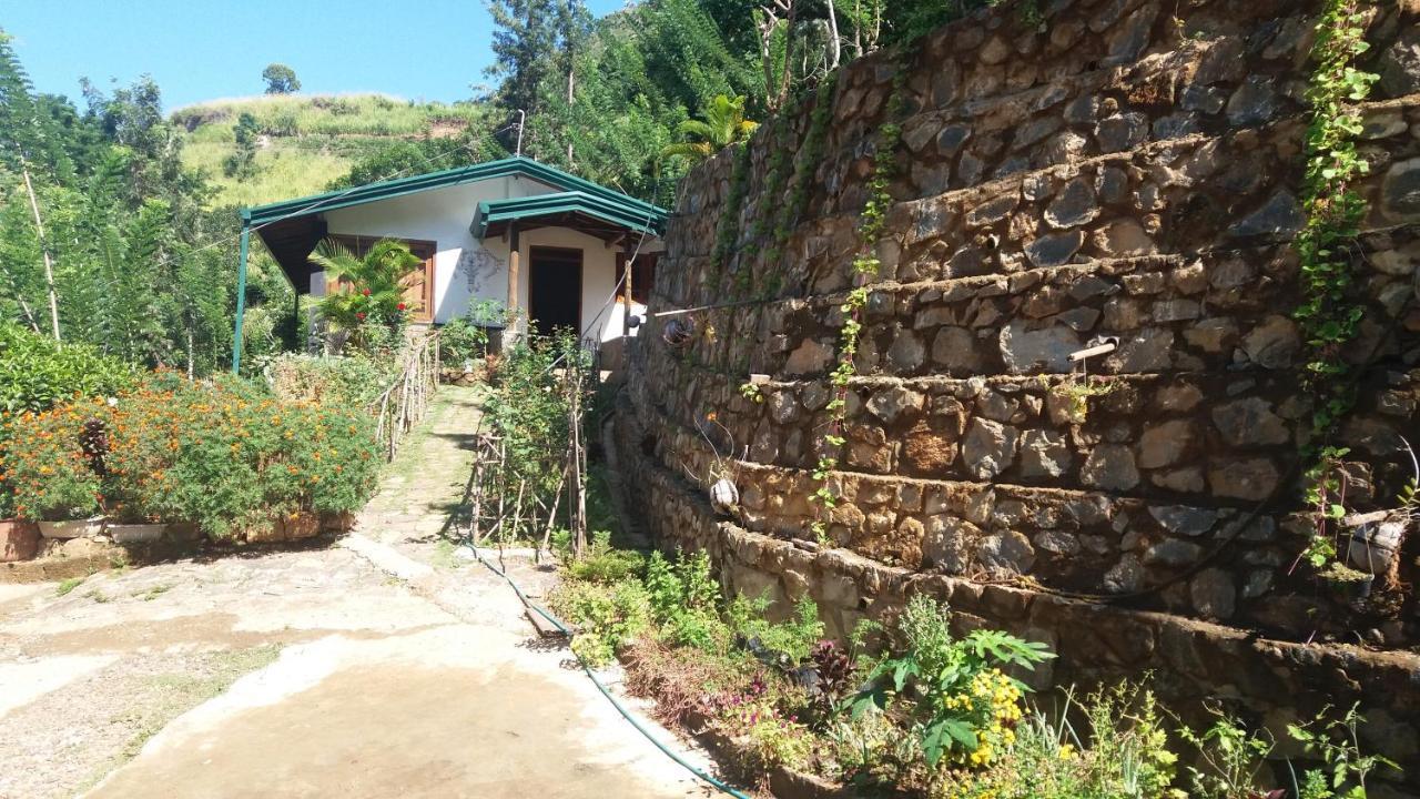 Artist Cottage هابيوتيل المظهر الخارجي الصورة