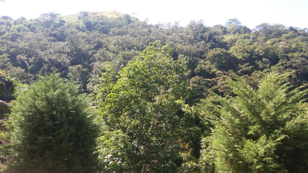 Artist Cottage هابيوتيل المظهر الخارجي الصورة