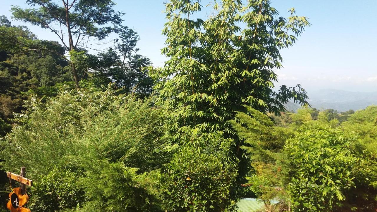 Artist Cottage هابيوتيل المظهر الخارجي الصورة