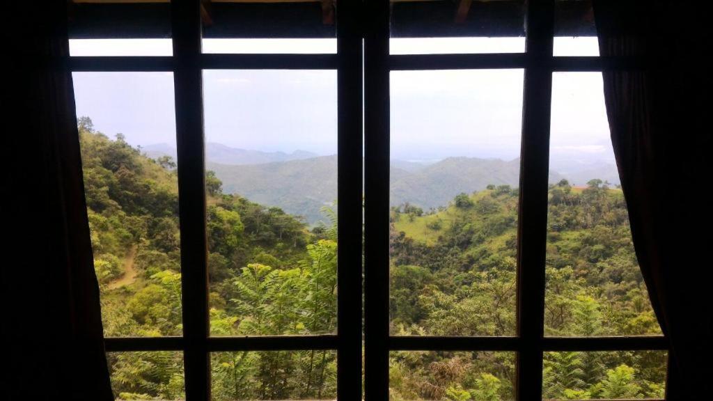 Artist Cottage هابيوتيل المظهر الخارجي الصورة