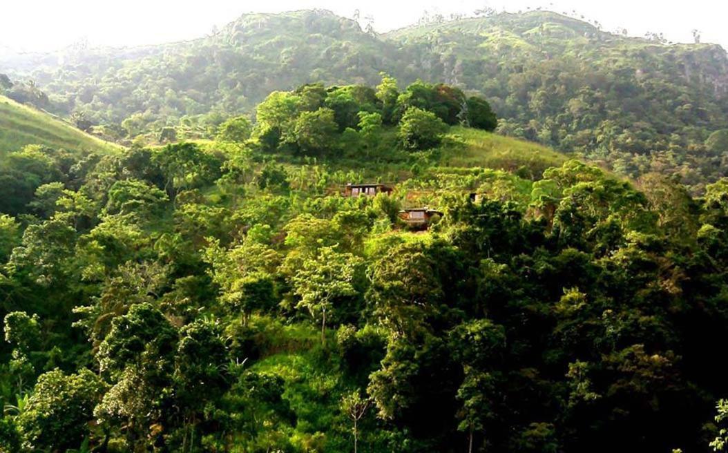 Artist Cottage هابيوتيل المظهر الخارجي الصورة