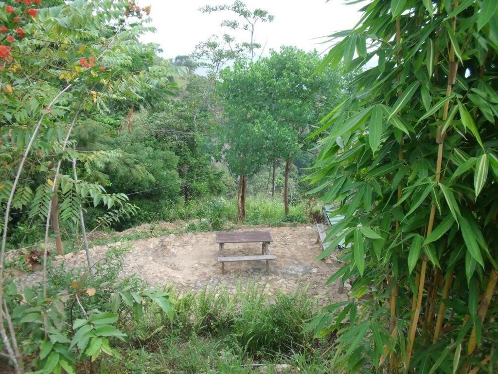 Artist Cottage هابيوتيل المظهر الخارجي الصورة