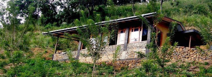 Artist Cottage هابيوتيل المظهر الخارجي الصورة