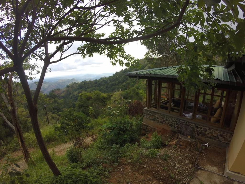 Artist Cottage هابيوتيل المظهر الخارجي الصورة