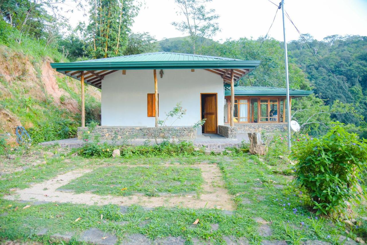 Artist Cottage هابيوتيل المظهر الخارجي الصورة