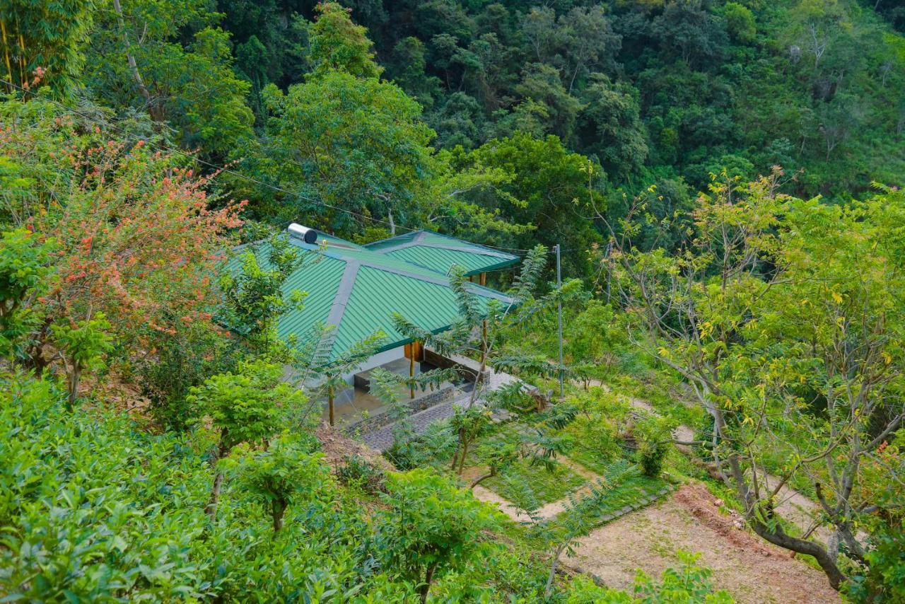 Artist Cottage هابيوتيل المظهر الخارجي الصورة