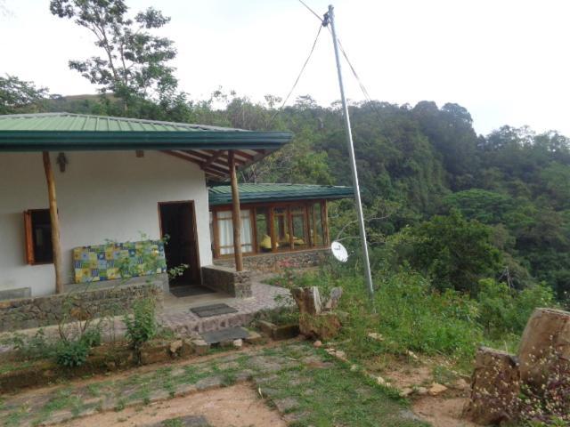 Artist Cottage هابيوتيل المظهر الخارجي الصورة